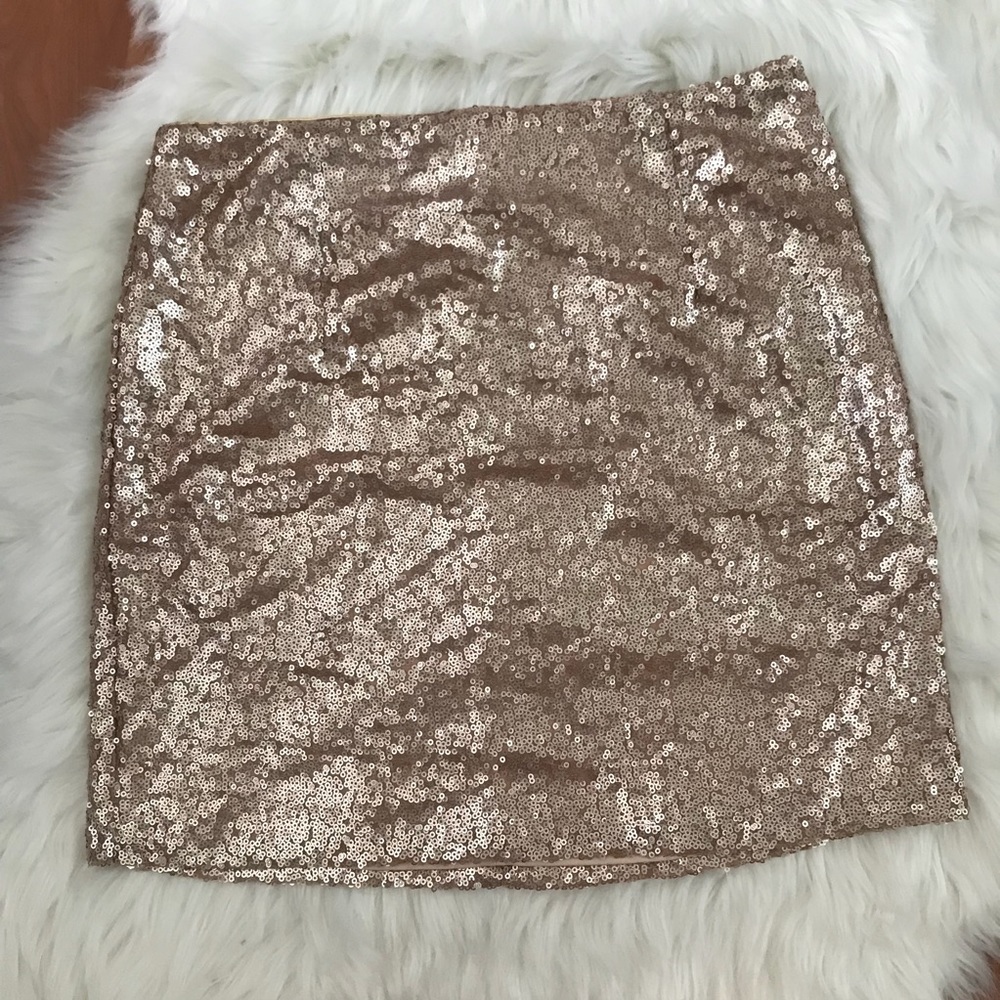 Sequin Skirt
